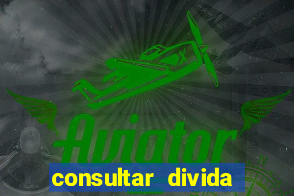 consultar divida casas bahia